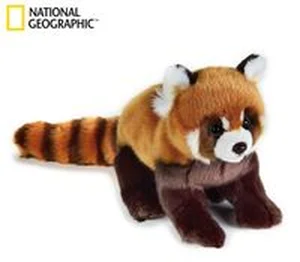 Bild von Panda Ruda Pacynka