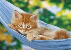 Bild von Puzzle Kotek na hamaku 1000