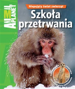 Bild von Szkoła przetrwania