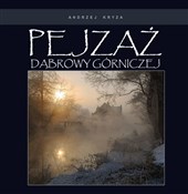 Pejzaż Dąb... - Andrzej Kryza -  fremdsprachige bücher polnisch 