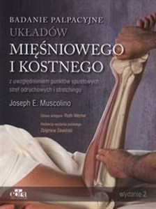 Bild von Badanie palpacyjne układów mięśniowego i kostnego z uwzględnieniem punktów spustowych, stref odruchowych i stretchingu