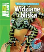 Widziane z... - Amanda Burdon -  Polnische Buchandlung 