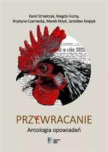 Bild von Przy(e)wracanie Antologia opowiadań