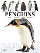 Penguins - Tom Jackson - Ksiegarnia w niemczech