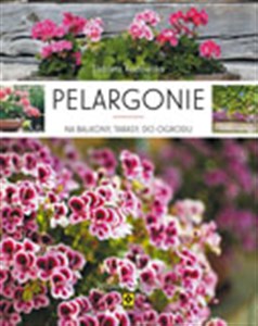 Bild von Pelargonie na balkony, tarasy, do ogrodu