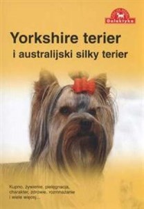 Bild von Yorkshire terier i australijski silky terier