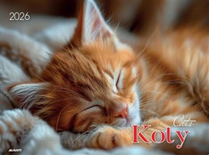 Bild von Kalendarz albumowy 2026 - Koty