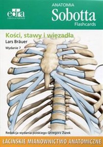 Bild von Anatomia Sobotta Flashcards Kości stawy i więzadła Łacińskie mianownictwo anatomiczne