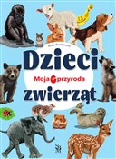 Polska książka : Dzieci zwi... - Anna Paszkiewicz