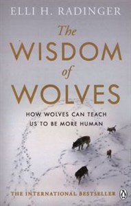 Bild von The Wisdom of Wolves