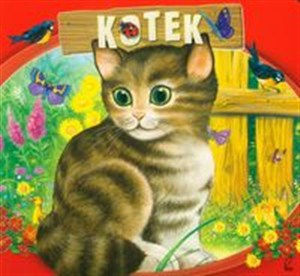 Obrazek Kotek