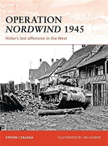 Obrazek Operation Nordwind 1945 : Hitler's Las