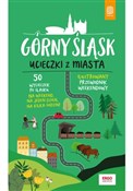 Polska książka : Górny Śląs... - Mateusz Świstak