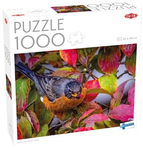 Obrazek Puzzle 1000 Robin in the Autumn Leaves