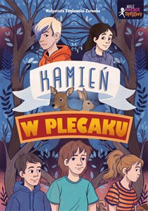 Obrazek Kamień w plecaku. Małe wielkie sprawy