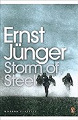 Polska książka : Storm of S... - Ernst Junger
