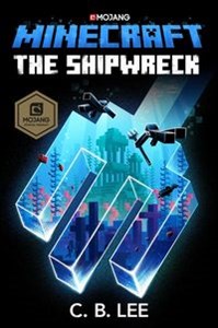 Obrazek Minecraft: The Shipwreck