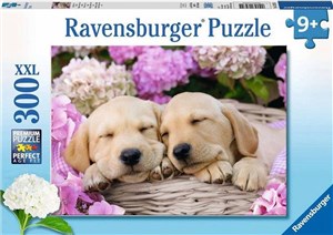Obrazek Puzzle 2D 300 Pieski XXL 13235