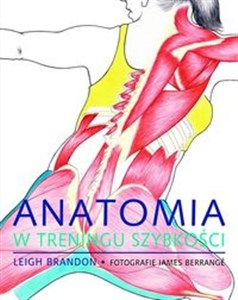 Bild von Anatomia w treningu szybkości