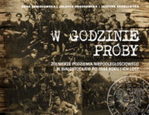 Bild von W godzinie próby Żołnierze podziemia niepodległościowego w Białostockiem po 1944 roku i ich losy