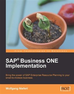 Bild von SAP Business ONE Implementation