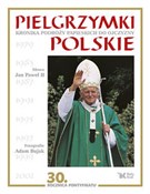 Pielgrzymk... - Jan Paweł II, Adam Bujak -  fremdsprachige bücher polnisch 