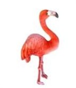 Polska książka : Flaming 55...