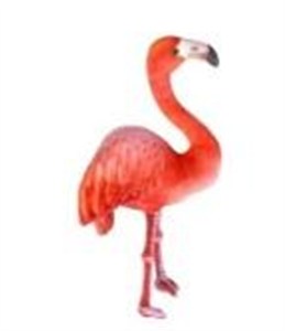 Obrazek Flaming 55cm