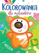 Kolorowank... - Ilona Brydak (ilustr.) -  polnische Bücher