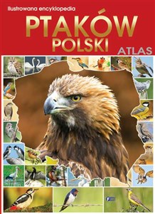 Obrazek Ilustrowana encyklopedia ptaków Polski Atlas