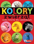 Polska książka : Kolory zwi...