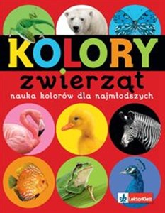 Obrazek Kolory zwierząt Nauka kolorów dla najmłodszych