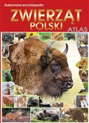 Polnische buch : Ilustrowan... - Opracowanie Zbiorowe