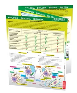 Bild von Biologia. MAXI ściąga