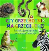 Książka : Czy grzech... - Antje Kleinelumern-Depping, Ingrid Peia