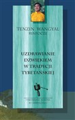 Polnische buch : Uzdrawiani... - Tenzin Wangyal Rinpoche