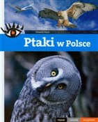 Ptaki w Po... - Sławomir Wąsik -  polnische Bücher