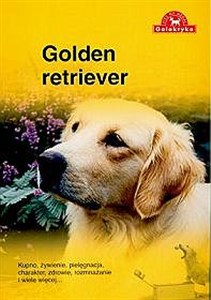 Bild von Golden retriever