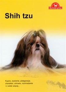 Bild von Shih Tzu