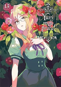 Bild von Yuri to moja praca. Tom 13