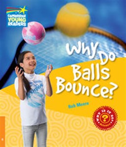 Bild von Why Do Balls Bounce? Level 6 Factbook