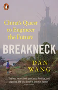Polnische buch : Breakneck - Dan Wang
