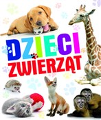 Zobacz : Dzieci zwi... - Opracowanie Zbiorowe