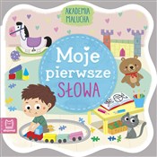 Książka : Akademia m... - Sylwia Kajdana, Ewa Nawrocka