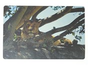 Podkładka ... -  polnische Bücher