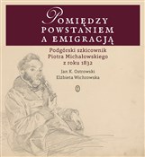 Polnische buch : Pomiędzy p... - Jan K. Ostrowski, Elżbieta Wichrowska