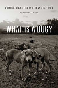 Bild von What Is a Dog?