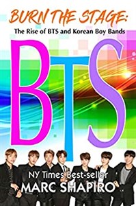 Obrazek Burn the Stage: The Rise of BTS and Korean Boy Bands