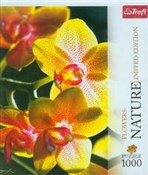 Pokaż szczegóły dla Puzzle 1000 Nature Orchidea Limited Edition Puzzle 100... -  polnische Bücher