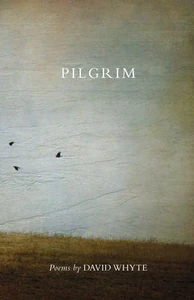 Obrazek WHYTE, D: PILGRIM (REVISED) (REVISED) RE